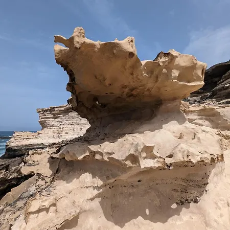 Oasis شقة